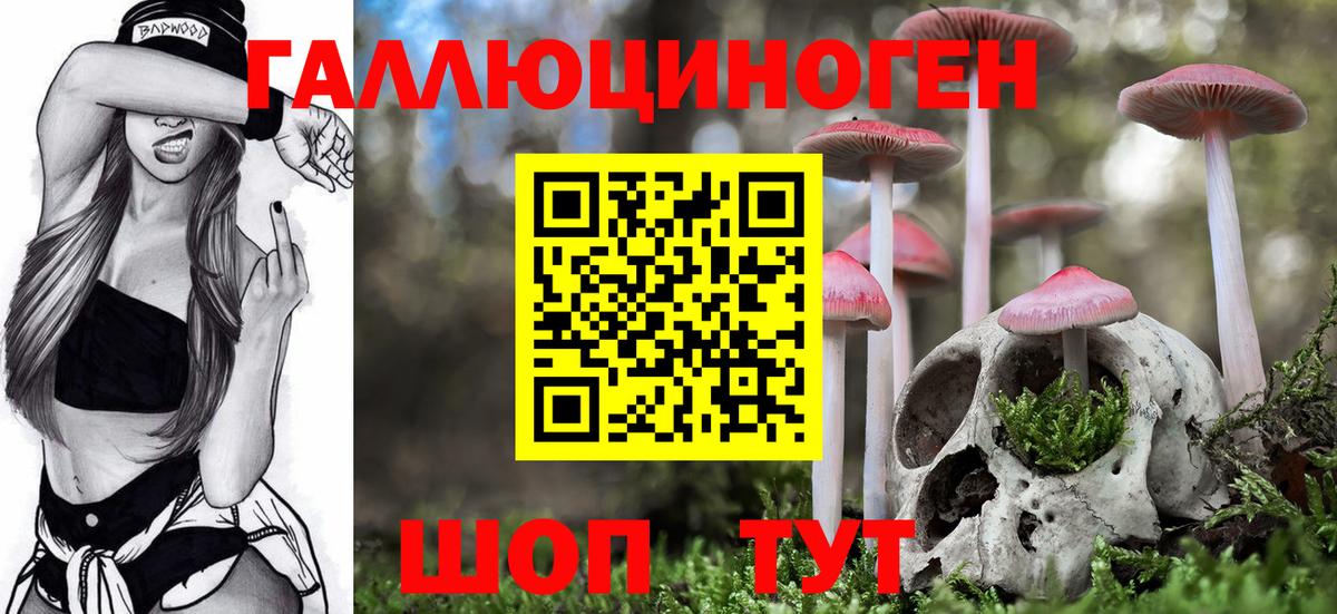 Галлюциногенные грибы Psilocybe  Вход с VPN  купить наркотик  Черкесск 